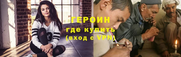 индика Вяземский
