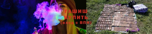 индика Вяземский