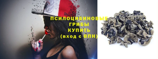 мдпв Волосово