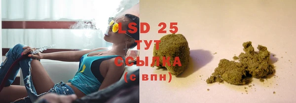индика Вяземский