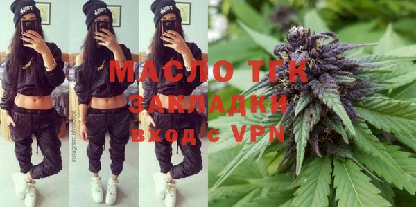 индика Вяземский