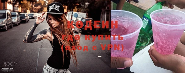 индика Вяземский