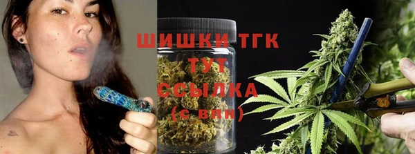 СК Володарск