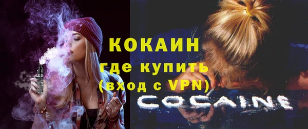 мяу мяу мука Бородино