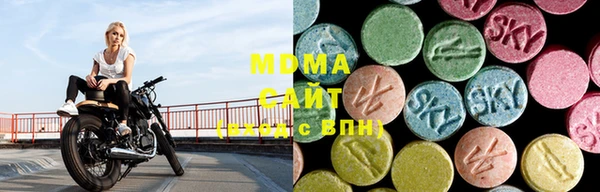 индика Вяземский