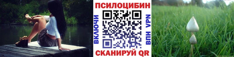 сайты даркнета состав  дарнет шоп  Зверево  Псилоцибиновые грибы Psilocybine cubensis 